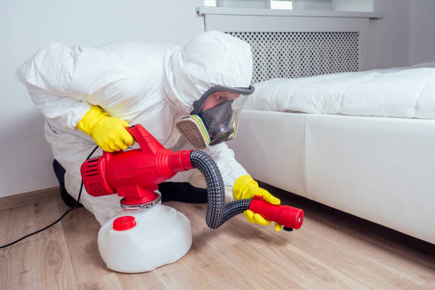 Wasp Removal Services in Destin, FL