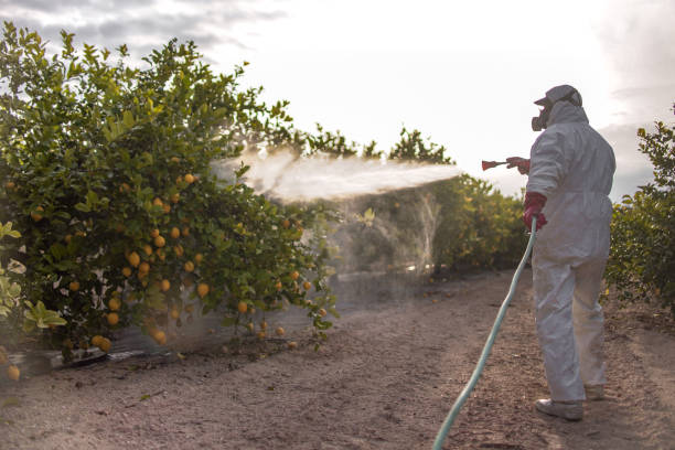 Best Pest Control Near Me  in Destin, FL